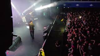 The Twang | Twit Twoo