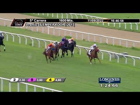 220911 c05 VOGUE BALLERINA (BRZ)