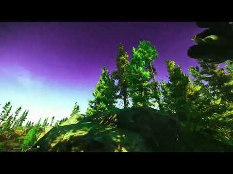 100% got reported for this