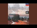 Tchaikovsky: Violin Concerto in D Major, Op. 35, TH 59: 1. Allegro moderato
