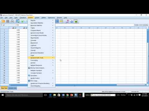 QUESTIONNAIRE ALPHA RELIABILITY TEST SPSS