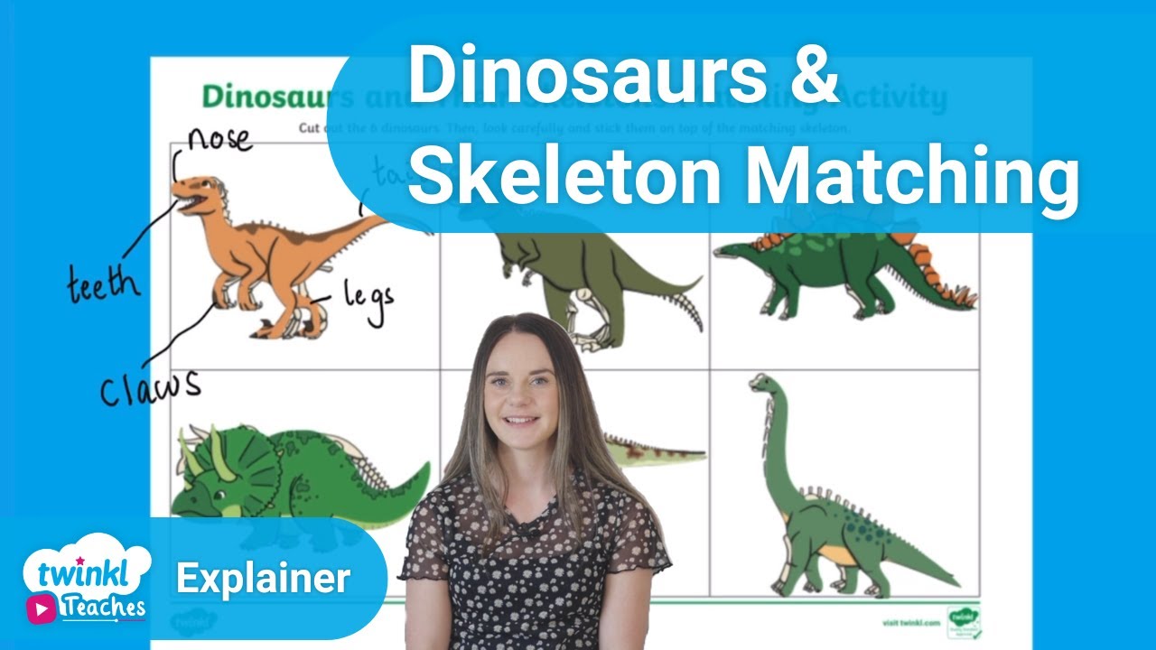 Dinosaurs and Their Skeletons Matching Activity