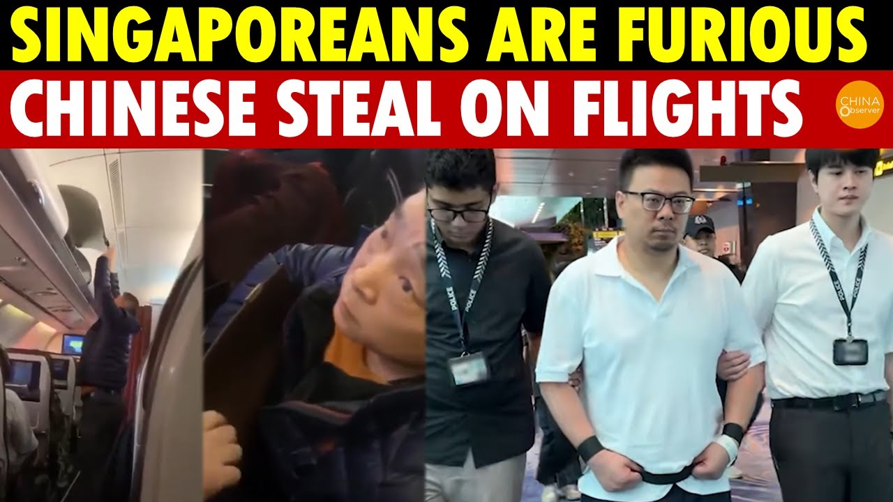 Singaporeans Angry! Chinese Steal on Different Flights, Cause Chaos, Insult Flight Attendants