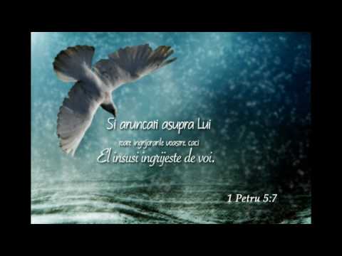 Marturie-Milica Tofan