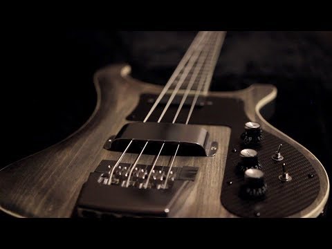 Build your DREAM Rickenbacker Bass for less than $400