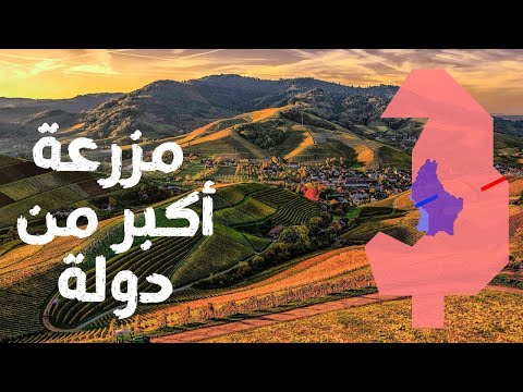 , title : 'أكبر 10 مزارع  ماشية في العالم   مزرعة مساحتها أكبر من مساحة دول'