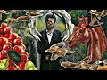 Sparklehorse - Hundreds of Sparrows