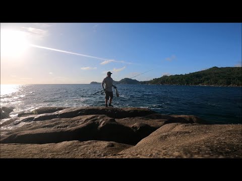 False Albacore for the local fisherman! :-) Mahé, Seychelles
