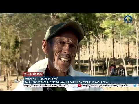 የፃዕዳ እምባ ወረዳ ነዋሪዎች