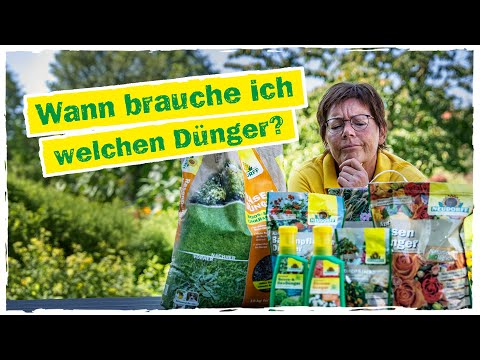 DÜNGER: Unterschiede zwischen mineralischem und organischem Dünger