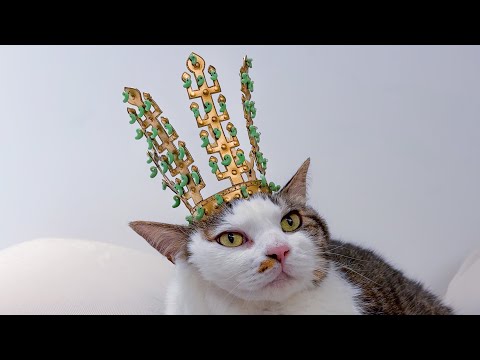 3D펜으로 만든 금관 고양이에게 선물하기