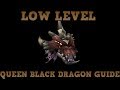 Low Level Queen Black Dragon Guide - Easy Royal ...