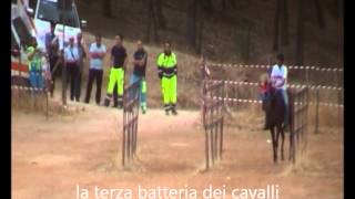 preview picture of video 'palio dei berberi 2012'