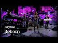 Gayana - Reborn ("Живой звук", Москва 24) 