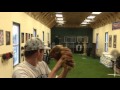 Jonathan Weitzman Practice Pitching Video