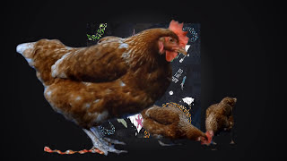 Teleport Collective - Chicken In The Kitchen (Album: Do The Pump)