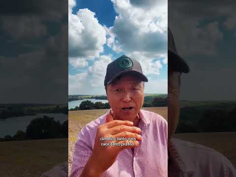 Biotrigo Dínamo | Depoimento - Osvaldo Yamamoto | São Sebastião da Amoreira/PR