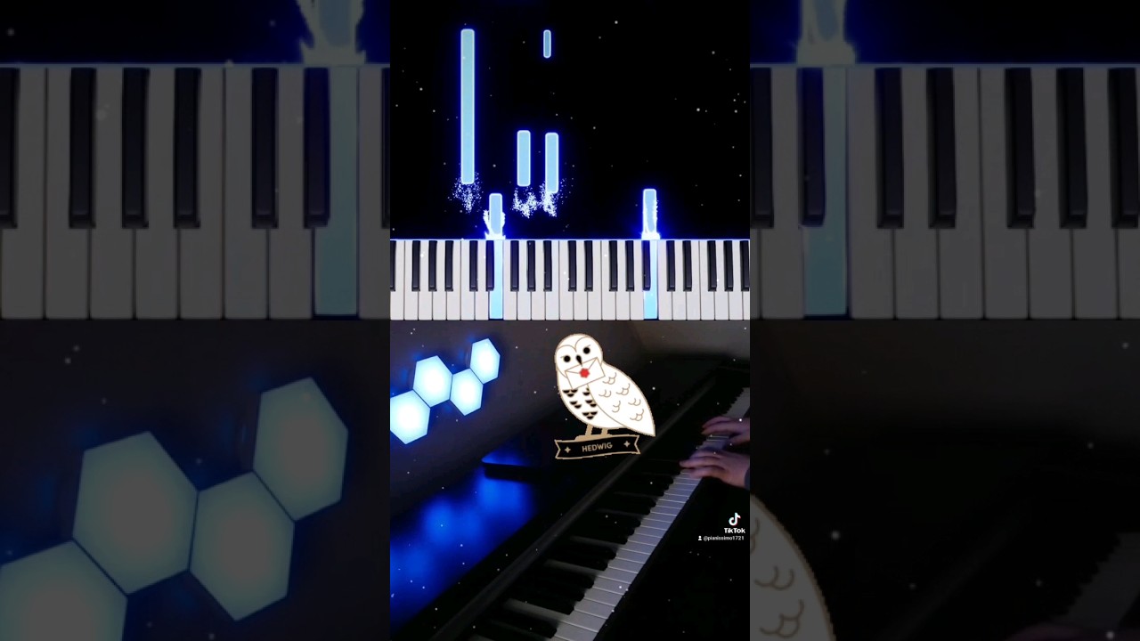 Hedwigs Theme from #HarryPotter #pianocover #pianotutorial