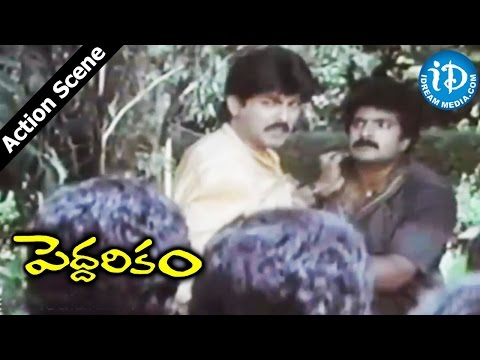 Peddarikam Movie - Jagapathi Babu, Sudhakar Fight Scene