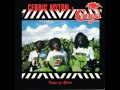 Cedric Myton & Congos - Musical Iration
