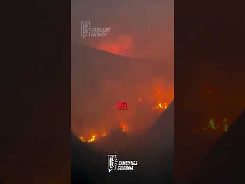 🔥 Incendio forestal en Ábrego supera las 3.000 hectáreas