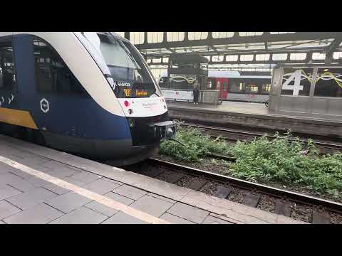 Solowageneinsatz in der HVZ auf der Linie RB31