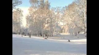 Chris Rea - Driving Home for Christmas [HQ] + Lyrics