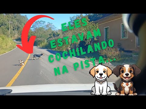 Do interior de Cotipora até Fagundes Varela