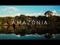 AMAZON Journey Through The Amazon Rainforest Brazil 4K Ultra HD