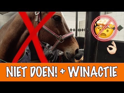 Doe dit NOOIT met paarden! | PaardenpraatTV