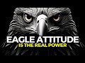 Eagle Attitude Is The Real Power 5 Lessons To Learn From Eagle S Life By Titan Man Motivation
