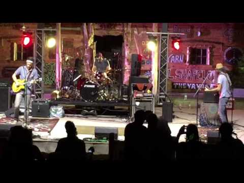 Dangermuffin @ Clear Mountain View IV Music Festival