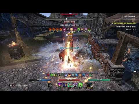 92k Zen Magicka Warden (Staves; DoT) Flames of Ambition | Support MagDen DPS