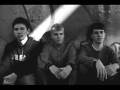 Mutated Forms - Pessimist 