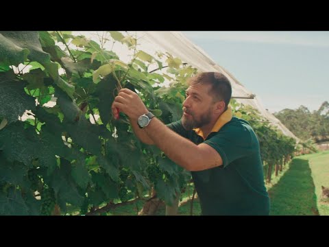 DA TERRA NASCEM PROTAGONISTAS