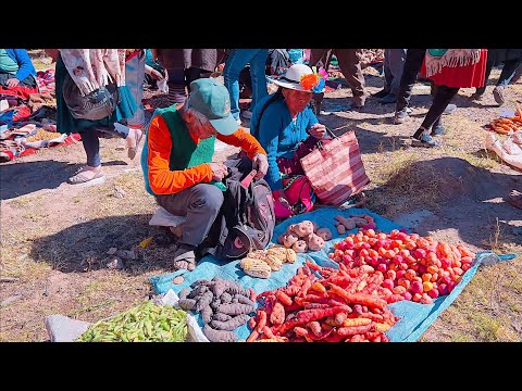 🥳 fiesta San antonio de padua #leque #tapacari #cochabamba #bolivia 🎉