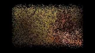 Iracema Cardoso- Não ficarei aqui (Anderson Freire)