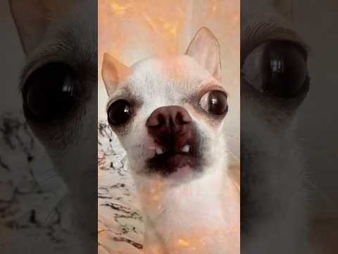 С Маней все хорошо!