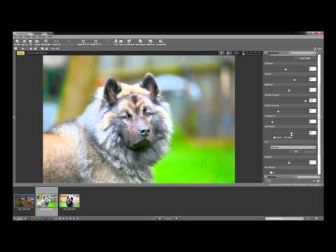 download lagu mp3 mp4 Nikon Movie Editor Uninstall, download lagu Nikon Movie Editor Uninstall gratis, unduh video klip Nikon Movie Editor Uninstall