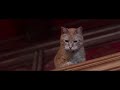 Willard 2003 Cat Scene HD