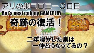 10点ch【アリの巣コロニー 実況 GamePlay】３日目　軌跡の復活！２年寝かした巣は一体どうなってるの？