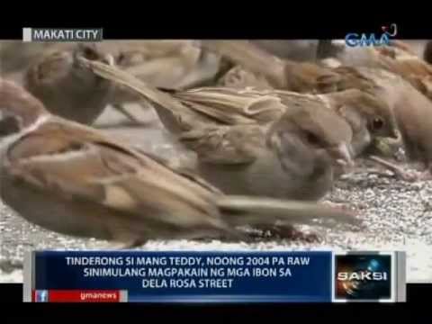 Hindi kapani-paniwala na paraan upang mangayayat Inna sungay aklat propesyonal na payo upang mawala ang timbang