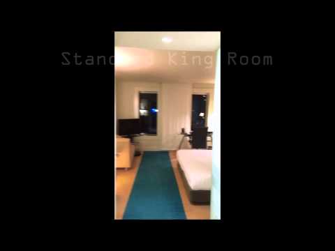 Sydney Hilton Video Review