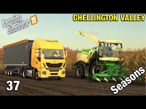 FORAGING CORN FOR SILAGE Chellington Valley Timelapse - FS19 Ep 37