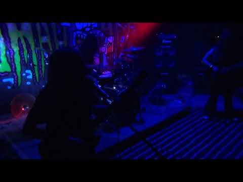 Tripping Haze Ceremony live