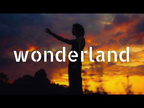 MEDUZA, HEVOLVE, Beanfield - Tides (feat. Bajka)