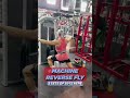 The BEST Back and Bicep PUMP
