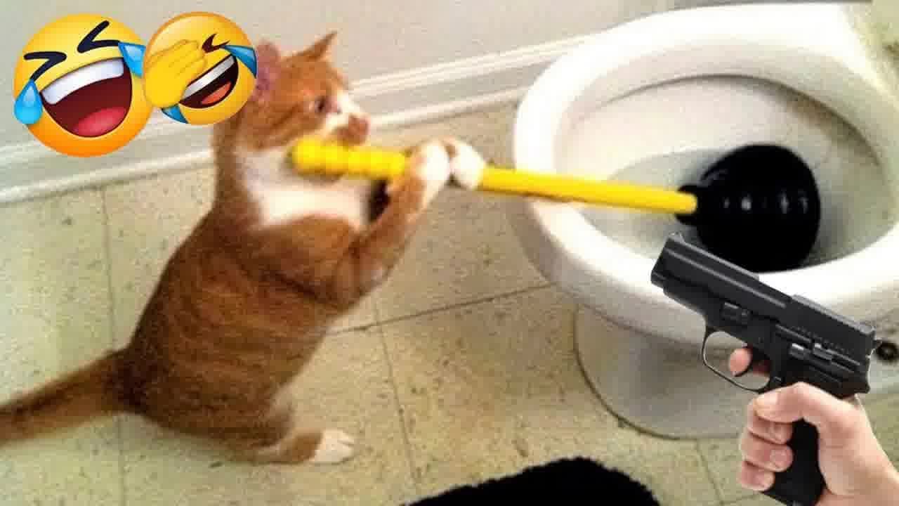 Try not to laugh with these funniest animals 😂