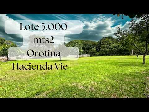 Imagen de Venta de Lotes y Terrenos en Hacienda vieja - Orotina Hacienda Vieja - ALAJUELA