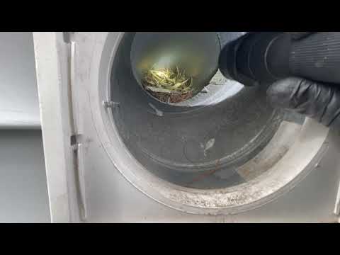 Excluding Starlings from the Exhaust Vent in South Amboy, NJ